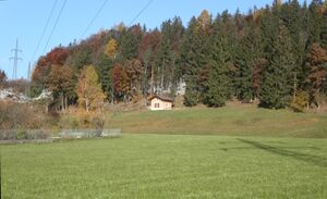 Blick zum Adneter Riedl 024.jpg