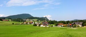 Habachstraße (Koppl).jpg