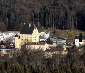 Schloss Goldenstein, Westansicht vom Hellbrunner Berg aus.jpg