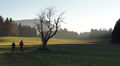 Weg ins Hochmoor am Eugendorfer Berg.jpg
