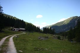 Fallhausalm forstau 63662 2013-07-23.jpg