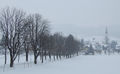 Kastanienallee, Winterimpression.jpg