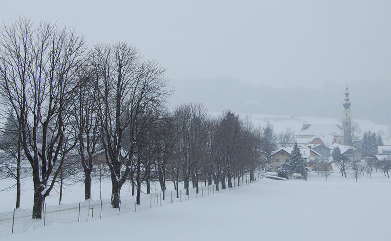 Datei:Kastanienallee, Winterimpression.jpg