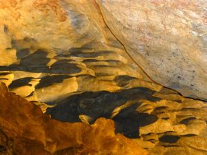 Lamprechtshöhle 4.jpg