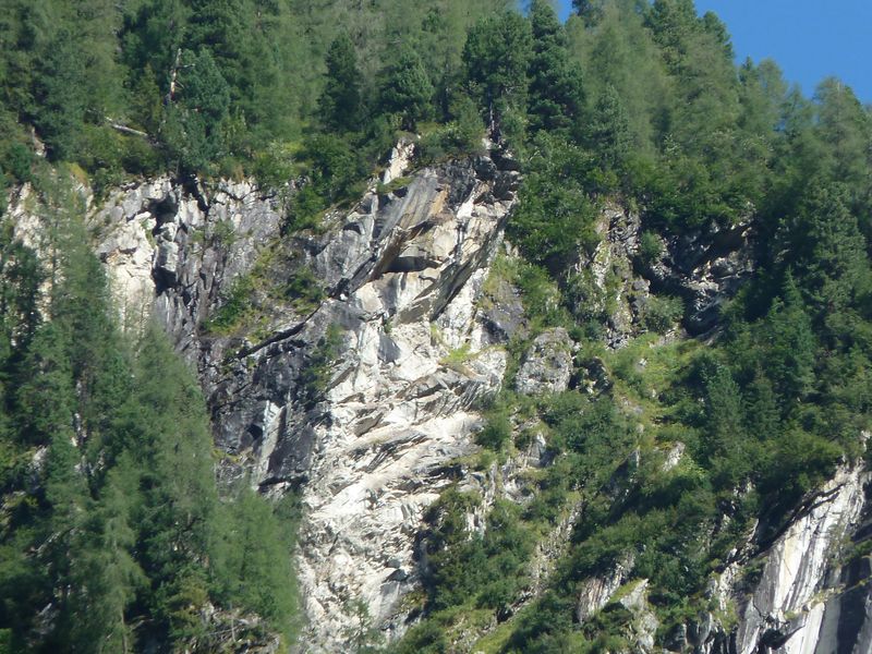 Datei:Steinadlerhorst 1.jpg
