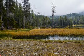 Tauernkarsee-105-2020-09-18-3.jpg