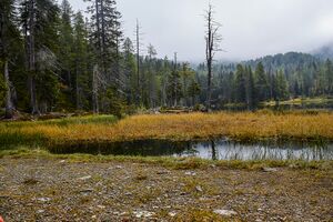 Tauernkarsee-105-2020-09-18-3.jpg