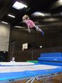 Trampolinspringen, Training 9.jpg