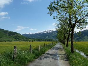Blick ins Zeller Moos.jpg
