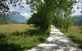 Schnurgerade RIMG0016.jpg