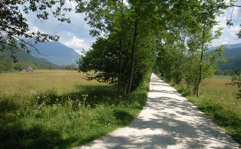 Datei:Schnurgerade RIMG0016.jpg