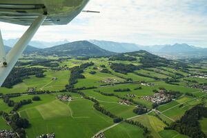 Seifert unsortiert 003.jpg