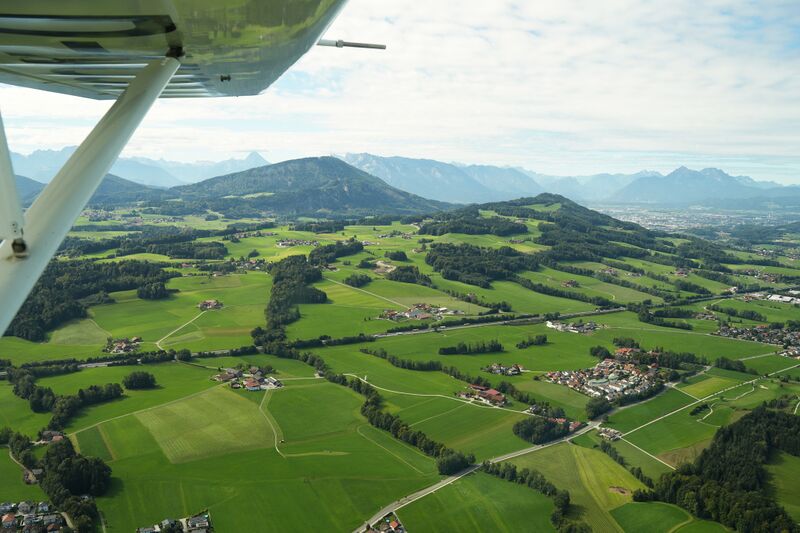 Datei:Seifert unsortiert 003.jpg