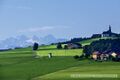 Sommerholz vom Diesenberg Sommermorgen.jpg