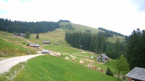 Spielbergalm mit Bergstation des Sesselliftes.jpg