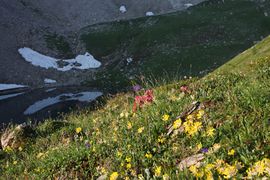 Wildsee obertauern 96352 2010-07-17.jpg