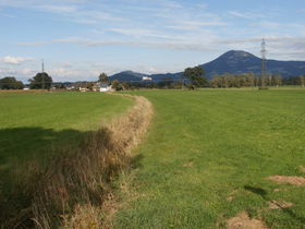 Glan Seitenarm in den Walser Wiesen.JPG