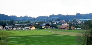 Helsenhubhöfe in Thalgau.jpg