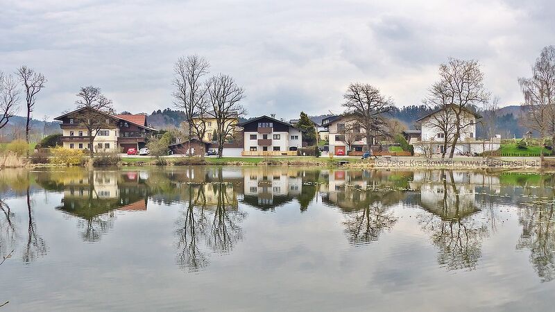 Datei:Sighartsteiner Weiher Ostufer.jpg