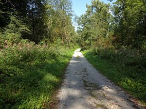 Tauernradweg Sankt Georgen bei Salzburg.jpg