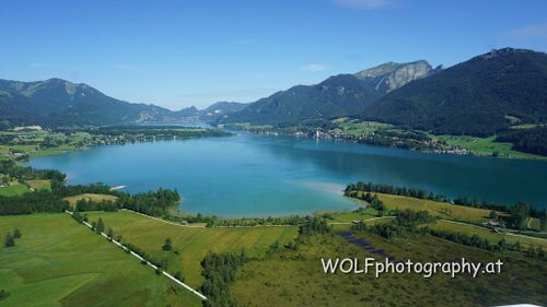 Wolfgangsee Blinklinkmoos.jpg