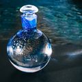 Caviar Vodka von Grüll 02.jpg