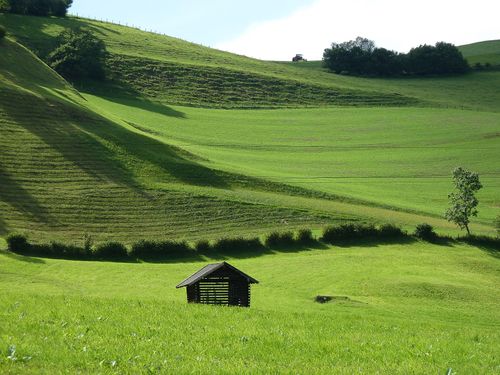 Kühbichl, Saalfelden.jpg
