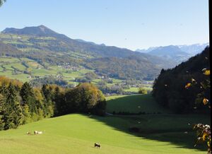 Marienkäferflug am Almerberg.jpg