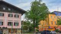 Ulme neben dem Stadtamt in Neumarkt am Wallersee 01.JPG