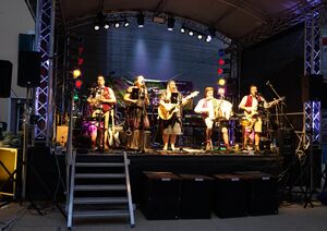 Die Radauer, August 2019.JPG