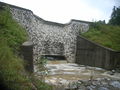 Gewässer in thalgau 031.jpg