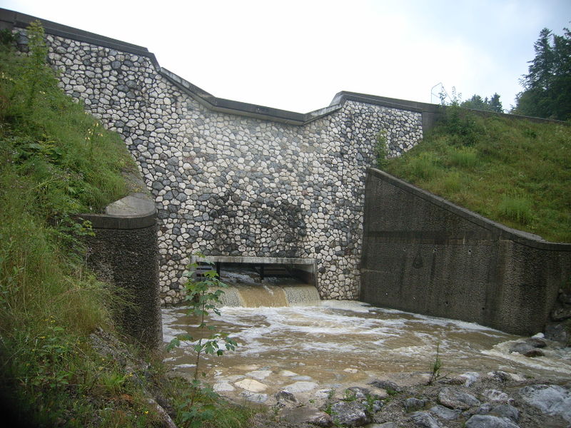 Datei:Gewässer in thalgau 031.jpg