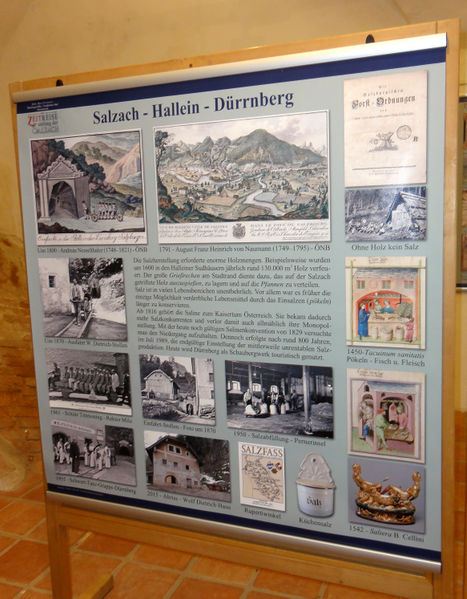 Datei:Salzach Hallein Dürrnberg.jpg
