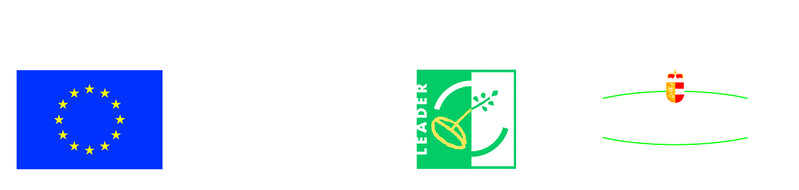 Datei:Hallein leader logo.jpg