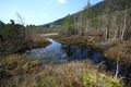 Mandlinger moor 69708 2018-04-18.jpg