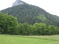 2005-06-11, Feichtenstein 114.jpg