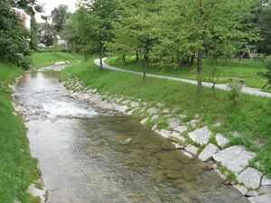 Alterbach mit Uferweg.JPG