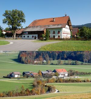 Erbhöfe in Thalgau, Kreuzingeransichten.jpg