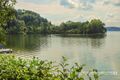 Marieninsel Wallersee Ostufer 01.jpg