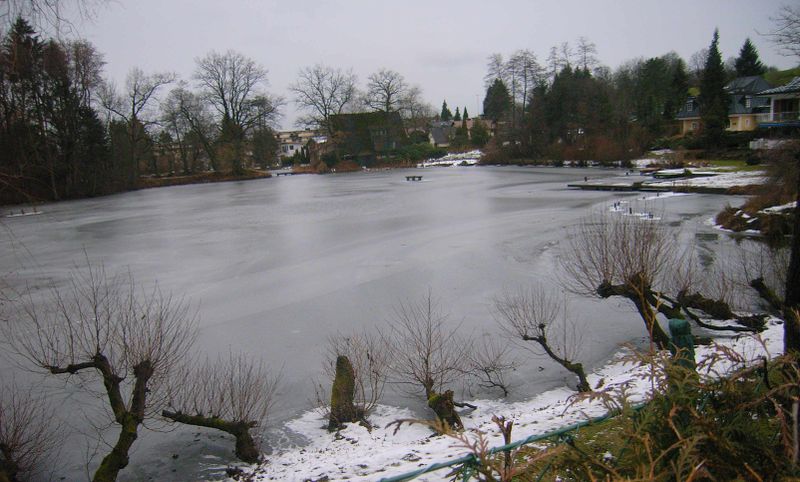 Datei:Schleiferbachteich.jpg
