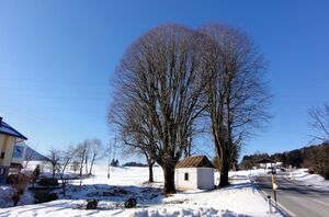 DSC00140.JPG