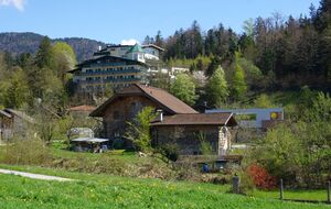 DSC07019 Hotel Hubertushof.jpg