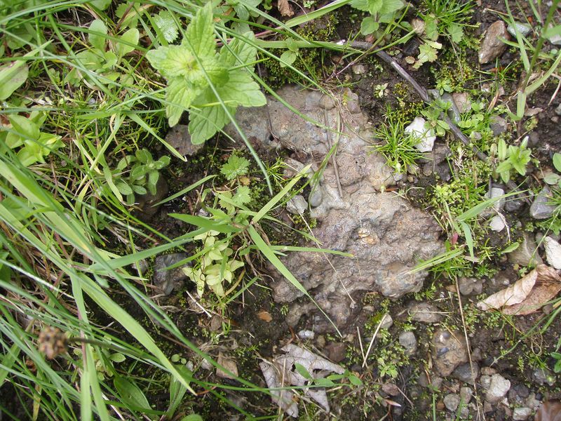 Datei:Kupfererzbergbau, Schlacke.jpg