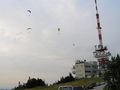 Vorschaubild der Version vom 00:44, 21. Mär. 2007
