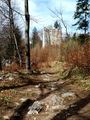 Ruine Thürndl, Bild von Margarethe Taferner 20180409 130615-.jpg