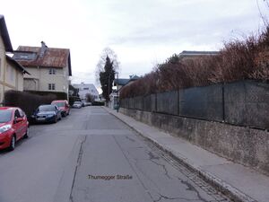 Thumegger Straße.jpg