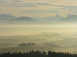 Blick vom Tannberg.jpg