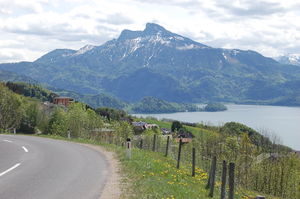 DSC 0001.JPG