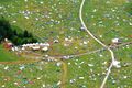 Electric Love Festival Müllhalden 2019 02.jpg