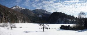 Krotenseepano.JPG
